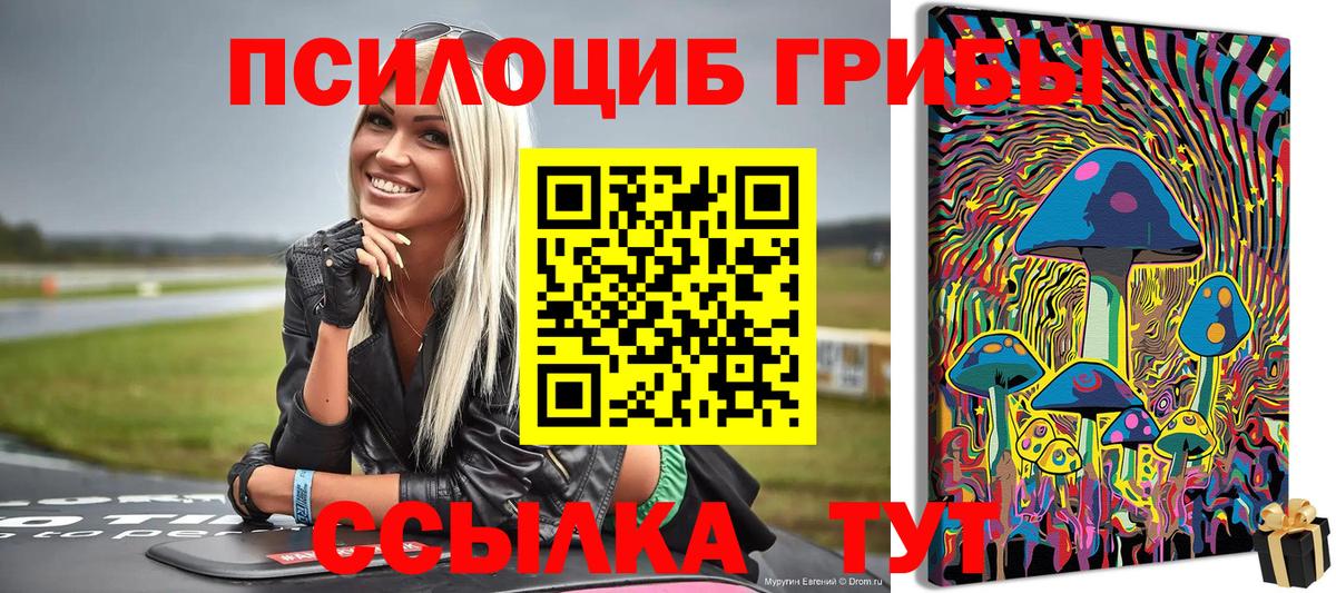 Псилоцибиновые грибы Magic Shrooms  где купить наркоту  Краснодар  Вход с VPN  Псилоцибиновые грибы ЛСД 