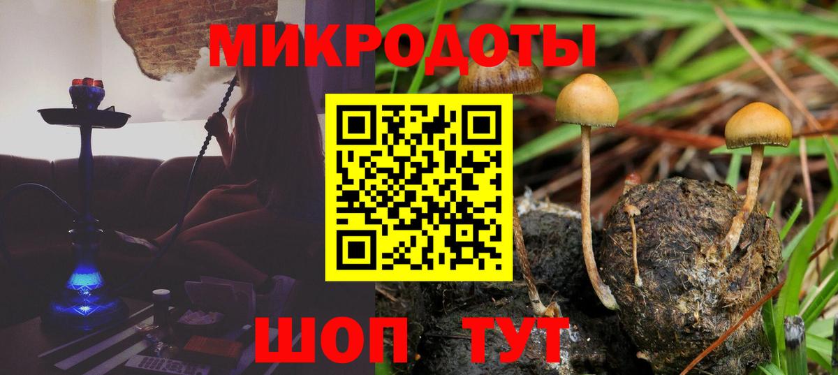 Псилоцибиновые грибы мицелий Краснодар